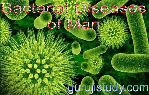 BSc Microbiology Bacterial Diseases of Man Notes Study Material